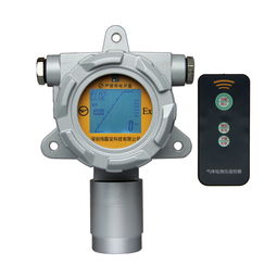 守护安全与清新 可燃气体检测仪与恶臭监测仪的双重防护